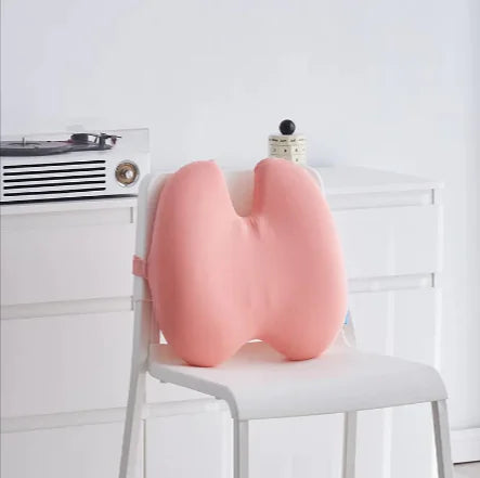 Lumbar Support Cushion